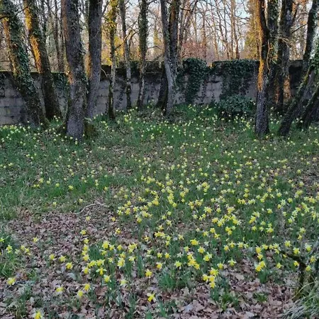 Maison De Plain-pied Avec Wifi Et Animaux Acceptes, Jardin Et Terrasse Prives - Fr-1-653-227 Casa de Férias *