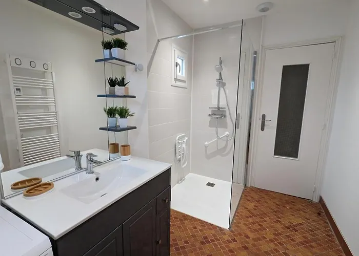 Maison De Plain-pied Avec Wifi Et Animaux Acceptes, Jardin Et Terrasse Prives - Fr-1-653-227 * Puyreaux