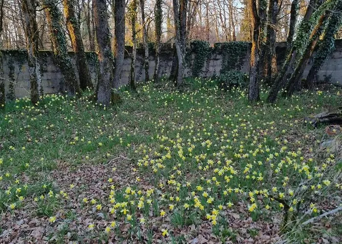 Maison De Plain-pied Avec Wifi Et Animaux Acceptes, Jardin Et Terrasse Prives - Fr-1-653-227 Ferienhaus *